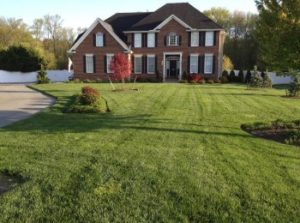 Lawn Care Services by Layton's Professional Care for Lawns and Landscaping in Delaware